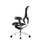 Polished Mesh Ergo Office Chair With Adjustable Depth Ergonomic