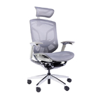 Ergonomic Swivel Grey Mesh Back Task Chair With 3D Armrest And Lumber Support