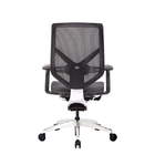 Tender Form X Ergonomic Armrest Staff Office Chair 3D Paddle Shift Height Adjustable