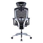 Lift Ergonomic Office Chair Black PA Frame High End True Design