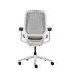 Mid Back Desk Chair without Mechanism Breathable Mesh Ofiice Chair