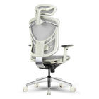 Adjustable Headrest Backrest Seat Height Depth 4D Armrest Ergo Desk Chair