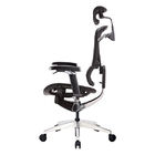 Double Back Support Mesh Ergonomic Executive Chair Automatic Back Supporting Lumbar