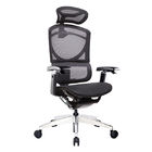 Double Back Support Mesh Ergonomic Executive Chair Automatic Back Supporting Lumbar