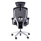 Marrit Ergonomic Full Mesh Office Chairs With 4D Armrest