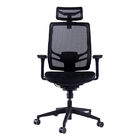 inFlex Staff Task Chair High Back Chair with Headrest Desk Chair Mesh Office Chairs