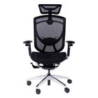 IFIT Polished Aluminum Mesh Office Chairs Ergo Mesh Manager Chair