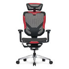 DVARY Vida Racing Revolving Chair Ergonomic Mesh Chair Office Gaming Chairs