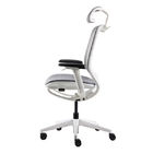 Computer Desk Chair With Mesh Seat And High Back Multifunction For Relaxation​ Ergo Office Chair