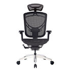 GT IVINO Greenguard Ergonomic Chair Adjustable Swivel Mesh Office Chairs