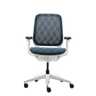Neoseat X Office Ergonomic Mesh Chair 4D Arms Mesh Adjustable Minimalist Swivel