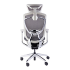 Adjustable Lumbar Support Chair Grey Ergonomic Office Rotation