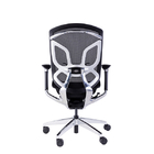 Ergonomic Adjustable Office Chair GT - 350mm Butterfly Backrest Lumbar Support
