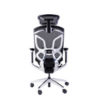 Ergo Mesh Adjustable Office Chair Lumbar Manager Mid Back Ergonomic