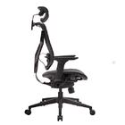Nylon Base Ergonomic Office Chair 55mm PA Lumbar Support Adjustable Arms