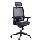 Adjustable Ergo Desk Mesh Back Office Chair Project Lumbar Support With Headrest