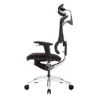 Mesh Back Ergonomic Office Chair Survival Height Adjustable Foam Seat