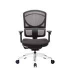 Middle Back PA Ergonomic Office Chair Comfortable Lumbar Support Black
