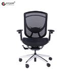 IFIT Online Office Chairs Ergo Executive Mesh With Lumbar Support