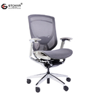 Lower Back Ergonomic Office Chairs Lumbar Support Polished Mesh Rolling