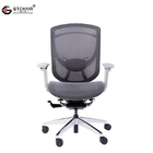 Lower Back Ergonomic Office Chairs Lumbar Support Polished Mesh Rolling