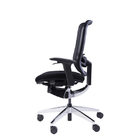 Revolving Online Office Chair For Back Pain Ergo Curve All Mesh