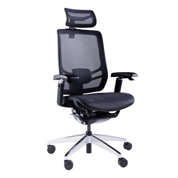 5D Armrest Lumbar Support Adjustment Desk Chair High Back Swivel Office ...