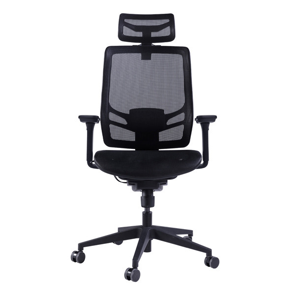 Wintex Black Mesh High Back Tilt Functional 4D Arm Ergonomic Executive Chair