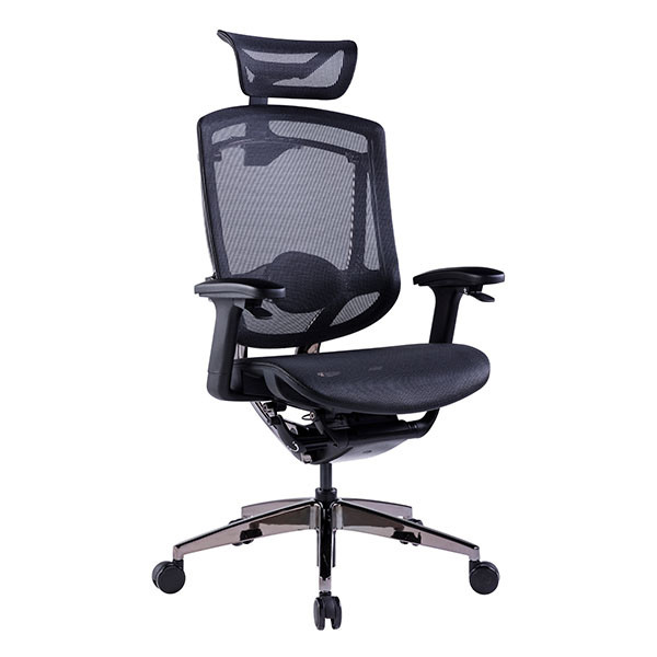 Black Back Support Computer Desk Chair Multifunctional Adjustable  Ergonomic Swivel Office Chair