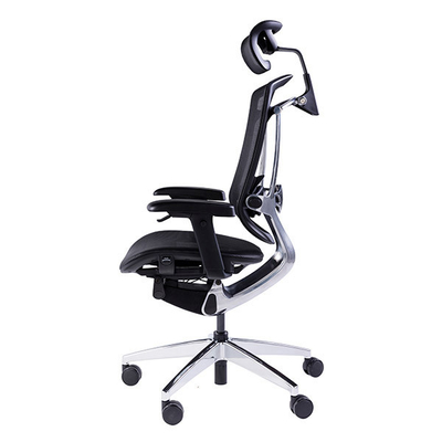 GTCHAIR Marrit X Lumbar Support Ergonomic Chair High Back Mesh Office Chair