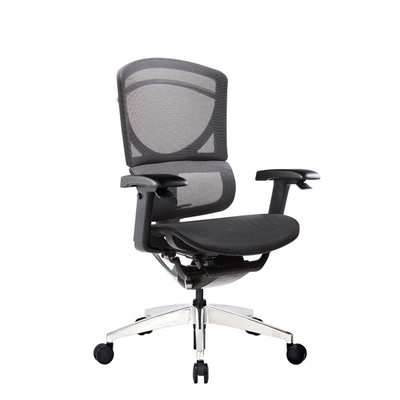 Polished Mesh Ergo Office Chair With Adjustable Depth Ergonomic