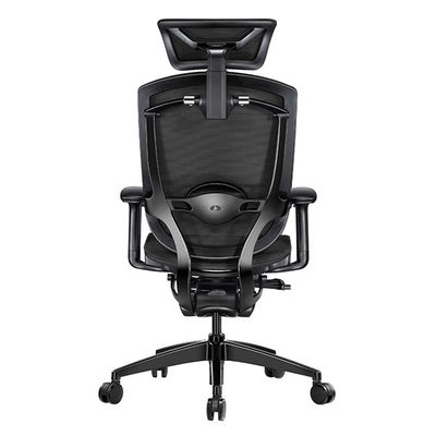 MARRIT Lumbar Support Ergonomic Office Chair 65mm PU Castors