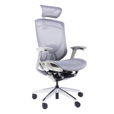 Mesh Office Chairs factory, Buy good quality Mesh Office Chairs 