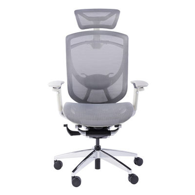 Ergo Swivel Chair Sync Sliding Swivel Seating Ergonomic Chair Mesh Office Chairs