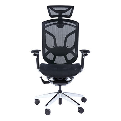 Butterfly Backrest Wintex Mesh Chair Lumbar Support Ergonomic Office Chair