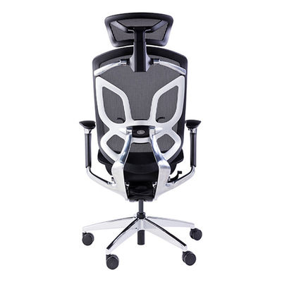 Butterfly Backrest Wintex Mesh Chair Lumbar Support Ergonomic Office Chair