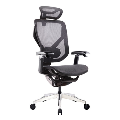 5D Armrest Lumbar Support Wintex Mesh Adjustable Headrest Reclining Ergonomic Office Chairs