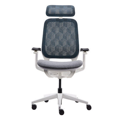 High Back Adjustable With Wire Control Armrest Home Chair Lumbar Support Computer Chair Ergo Office Chair