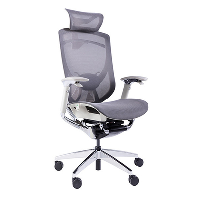 GTCHAIR Full Mesh Ergonomic Executive Chair Multiple Adjustabilities Sync Sliding System
