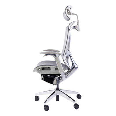 Butterfly Backrest Ergonomic Executive Chair Wintex Mesh Adjustable Lumbar Support