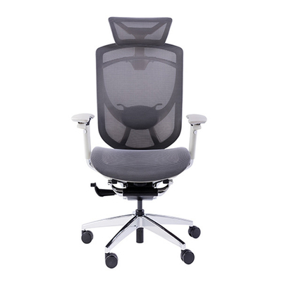 Adjustable Lumbar Support Chair Grey Ergonomic Office Rotation