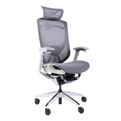 Adjustable Lumbar Support Chair Grey Ergonomic Office Rotation