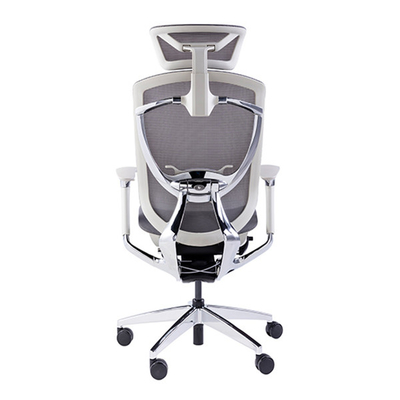 Adjustable Lumbar Support Chair Grey Ergonomic Office Rotation