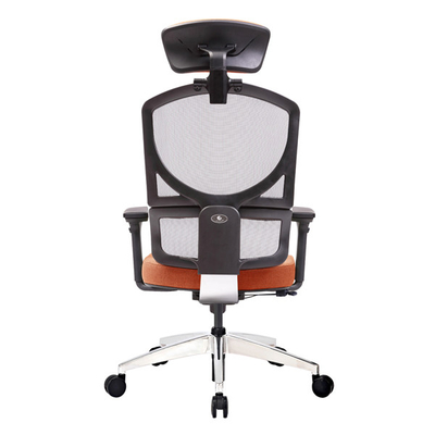 Ergo Swivel Computer Task Chairs Back Automatic Supporting Desk Chair