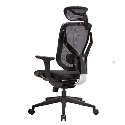 Nylon Base Ergonomic Office Chair 55mm PA Lumbar Support Adjustable Arms