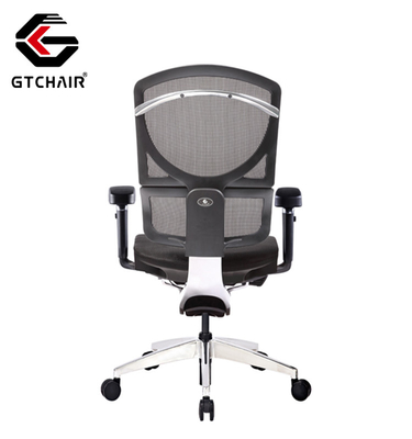 Ergonomic Project Office Chair Adjustable Lumbar Support Swivel Mesh