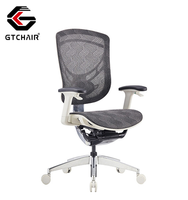 Online Ergo Task Office Chairs 5D Arms Height Adjustable Ergonomic