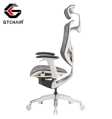 GTCHAIR IVINO X Swivel Office Lumbar Support Ergonomic Chairs Mesh Ergo Grey